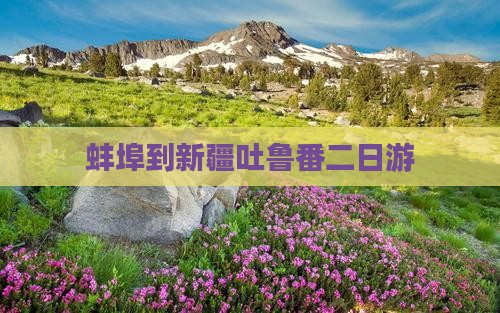 蚌埠到新疆吐鲁番二日游