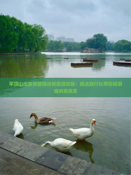 平顶山出发新疆喀纳斯旅游攻略：精选旅行社带你畅游喀纳斯美景