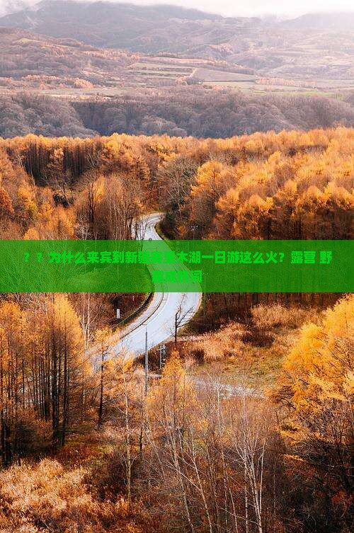 ？？为什么来宾到新疆赛里木湖一日游这么火？露营+野趣成热词