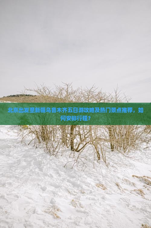 北京出发至新疆乌鲁木齐五日游攻略及热门景点推荐，如何安排行程？
