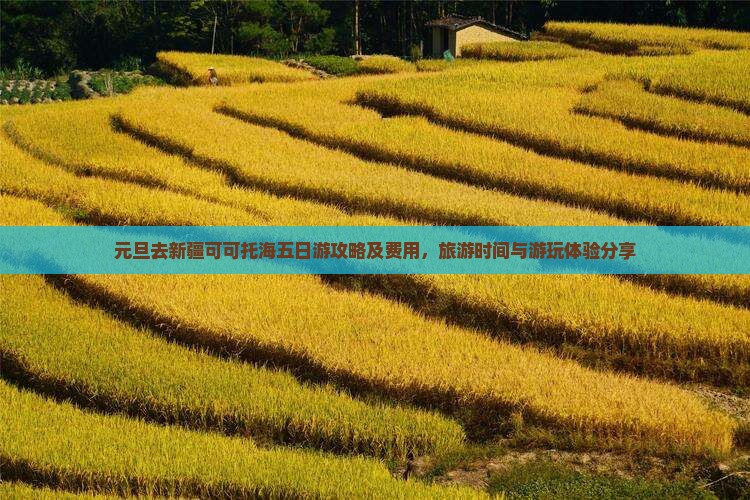 元旦去新疆可可托海五日游攻略及费用，旅游时间与游玩体验分享