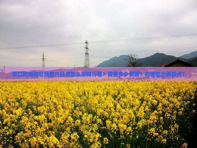 周口到新疆吐鲁番六日游怎么安排行程？需要多少费用？有哪些必看景点？
