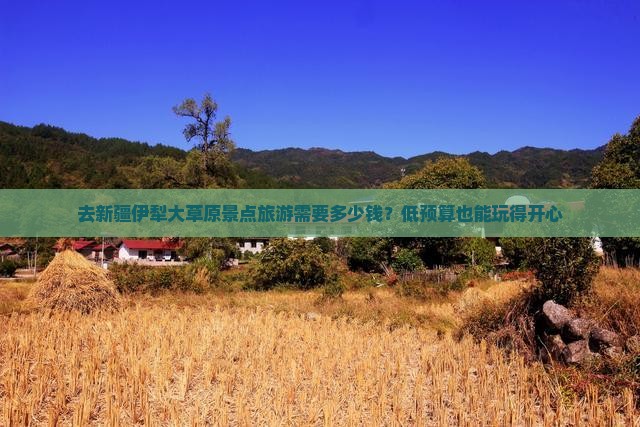 去新疆伊犁大草原景点旅游需要多少钱？低预算也能玩得开心