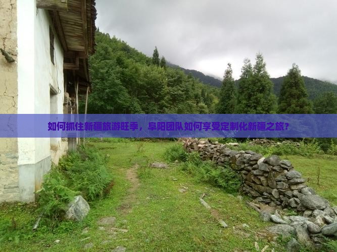 如何抓住新疆旅游旺季，阜阳团队如何享受定制化新疆之旅？