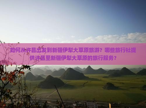 如何从许昌出发到新疆伊犁大草原旅游？哪些旅行社提供许昌至新疆伊犁大草原的旅行服务？