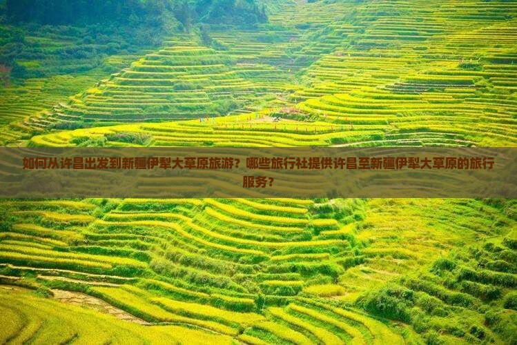 如何从许昌出发到新疆伊犁大草原旅游？哪些旅行社提供许昌至新疆伊犁大草原的旅行服务？