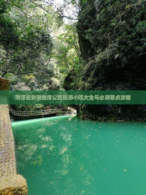 菏泽去新疆独库公路旅游小吃大全与必游景点攻略