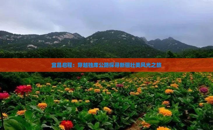 宜昌启程：穿越独库公路探寻新疆壮美风光之旅