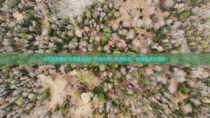 红河去新疆吐鲁番自由团？路线规划？费用明细？有哪些景点推荐？