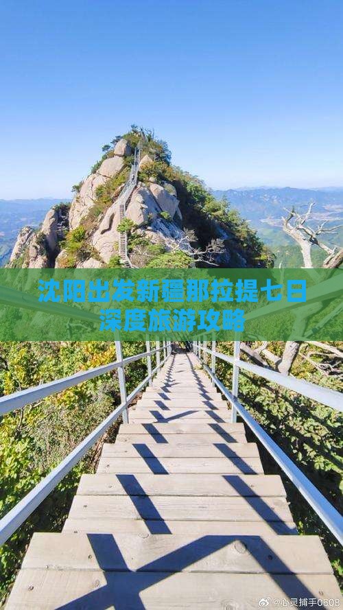 沈阳出发新疆那拉提七日深度旅游攻略