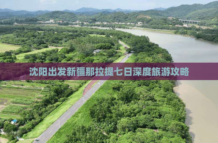 沈阳出发新疆那拉提七日深度旅游攻略