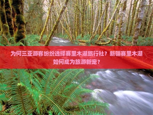 为何三亚游客纷纷选择赛里木湖旅行社？新疆赛里木湖如何成为旅游新宠？