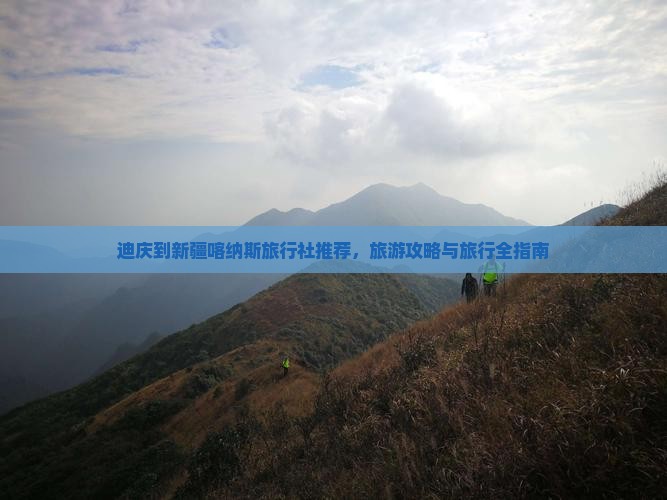 迪庆到新疆喀纳斯旅行社推荐，旅游攻略与旅行全指南