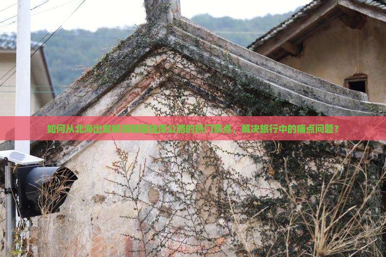 如何从北海出发畅游新疆独库公路的热门景点，解决旅行中的痛点问题？