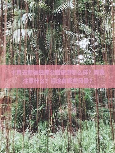 十月去新疆独库公路旅游怎么样？需要注意什么？沿途有哪些风景？