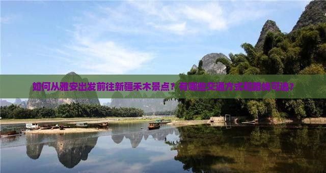 如何从雅安出发前往新疆禾木景点？有哪些交通方式和路线可选？