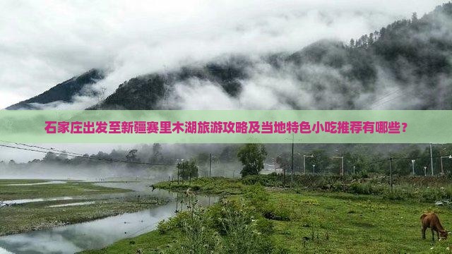 石家庄出发至新疆赛里木湖旅游攻略及当地特色小吃推荐有哪些？