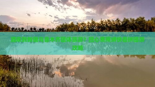 酒泉到新疆乌鲁木齐团体旅游？担心费用缚快看拼团游攻略