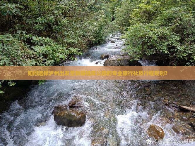 如何选择泸州出发至新疆独库公路的专业旅行社及行程规划？