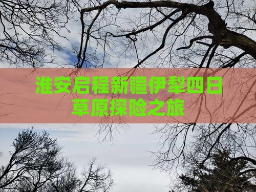 淮安启程新疆伊犁四日草原探险之旅