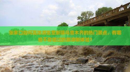 张家口如何高效游览至新疆乌鲁木齐的热门景点，有哪些不容错过的旅游新体验？