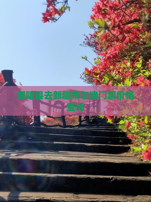 鄢陵县去新疆布尔津门票价格查询