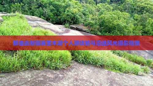 那曲去新疆赛里木湖个人游攻略与沿途风光摄影指南