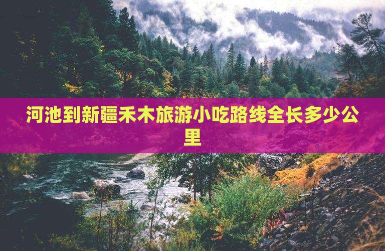 河池到新疆禾木旅游小吃路线全长多少公里