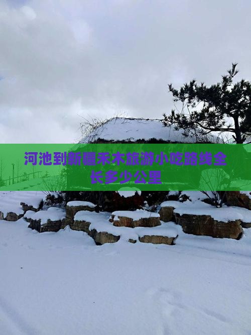 河池到新疆禾木旅游小吃路线全长多少公里