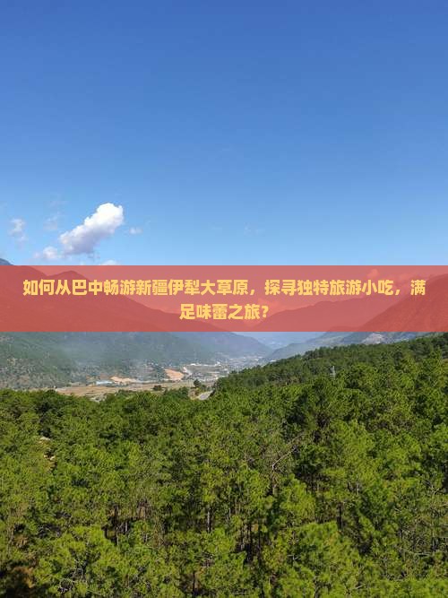 如何从巴中畅游新疆伊犁大草原，探寻独特旅游小吃，满足味蕾之旅？