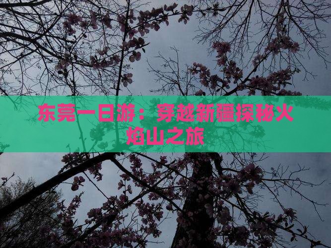 东莞一日游：穿越新疆探秘火焰山之旅