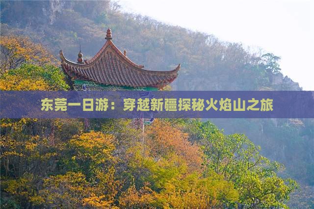 东莞一日游：穿越新疆探秘火焰山之旅