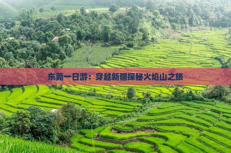 东莞一日游：穿越新疆探秘火焰山之旅