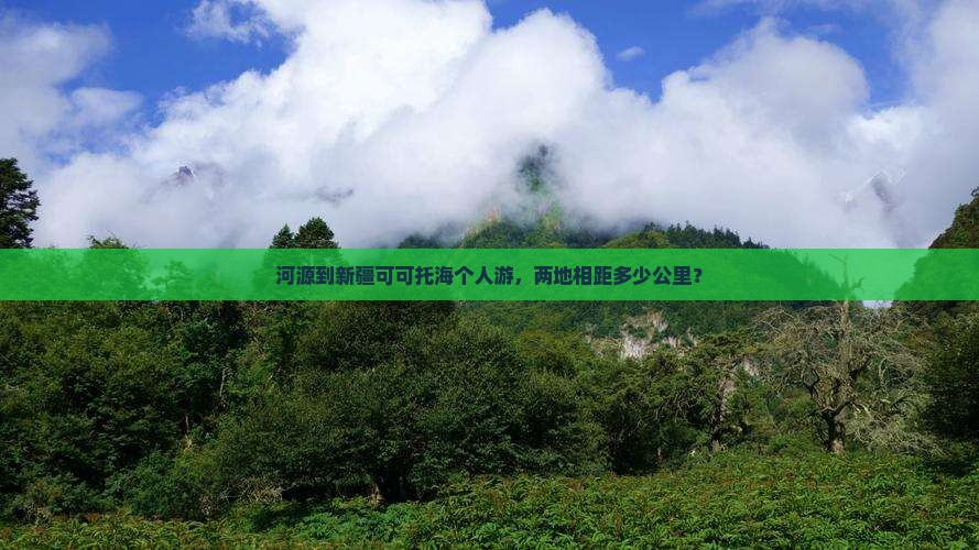 河源到新疆可可托海个人游，两地相距多少公里？