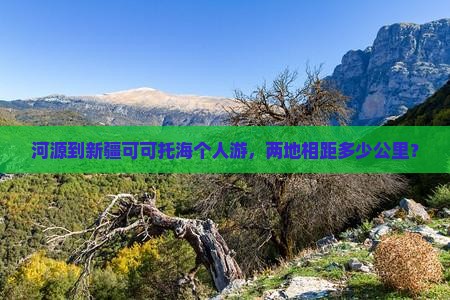 河源到新疆可可托海个人游，两地相距多少公里？