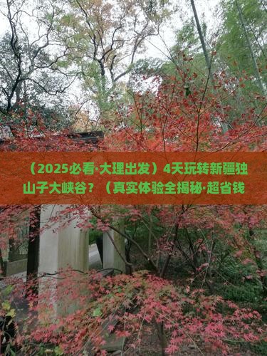 大理到新疆独山子大峡谷四日游