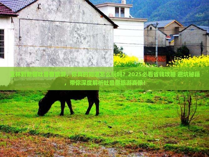 玉林到新疆吐鲁番旅游