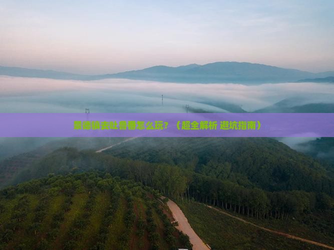 景德镇到新疆吐鲁番旅行社