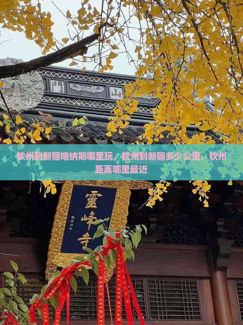 钦州到新疆喀纳斯哪里玩