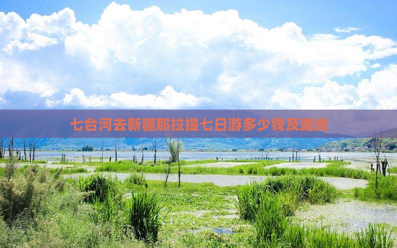 七台河去新疆那拉提七日游