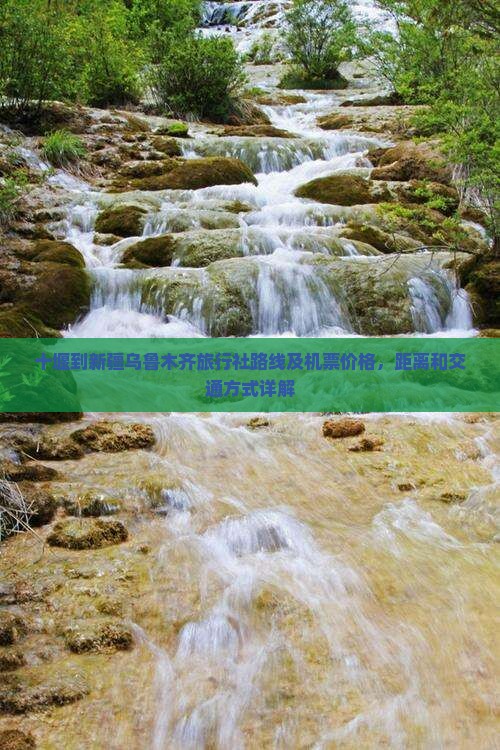 十堰到新疆乌鲁木齐旅行社