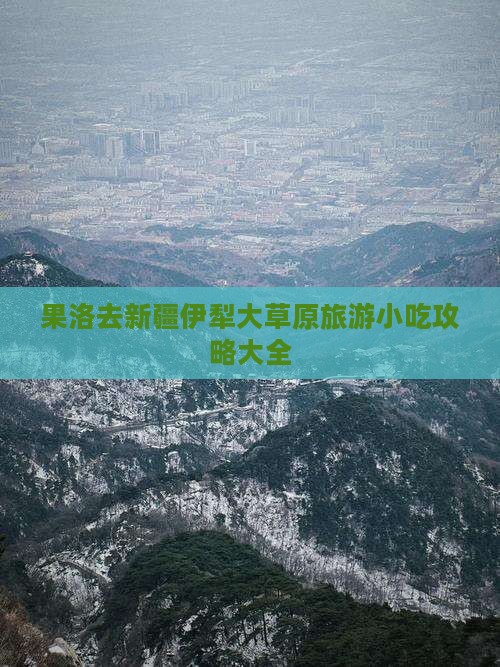 果洛去新疆伊犁大草原旅游小吃