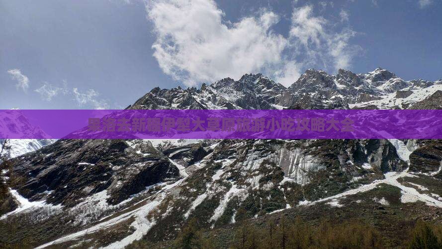 果洛去新疆伊犁大草原旅游小吃
