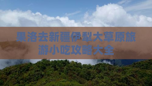 果洛去新疆伊犁大草原旅游小吃