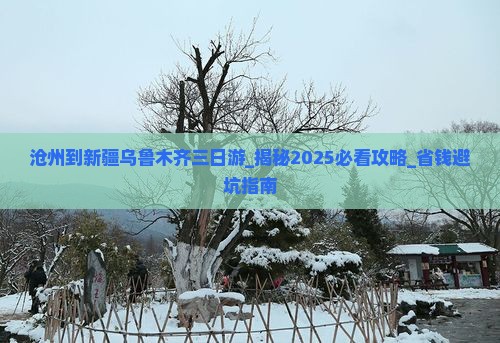 沧州到新疆乌鲁木齐三日游