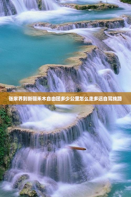 张家界到新疆禾木自由团