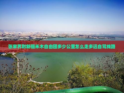 张家界到新疆禾木自由团