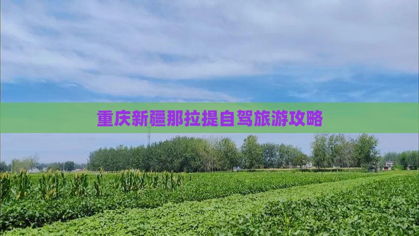 重庆到新疆那拉提自由行