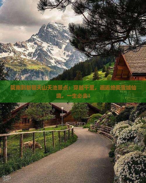 陇南到新疆天山天池景点