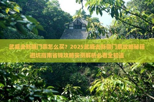 武威去新疆门票